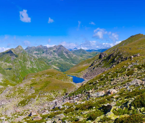 Yeşil yaz vadisinde küçük mavi bir göl