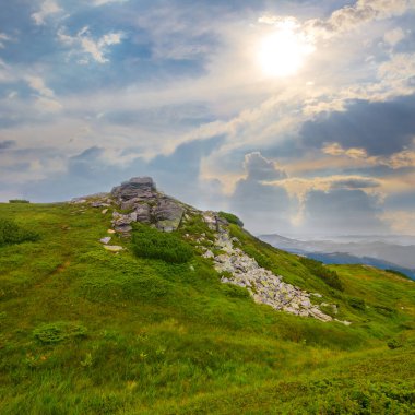 Parlak güneşli bir günde ormanlı yeşil dağ vadisi