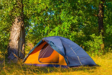 Ormandaki turistik kamp, doğal seyahat geçmişi.