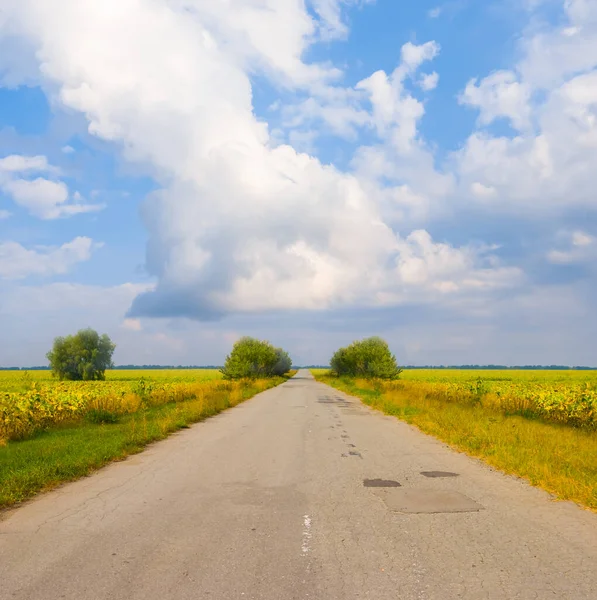Kırsal alanlar arasında uzun asfalt yol