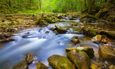 Küçük bir dağ deresi taşların üzerinden kanyon boyunca akıyor.