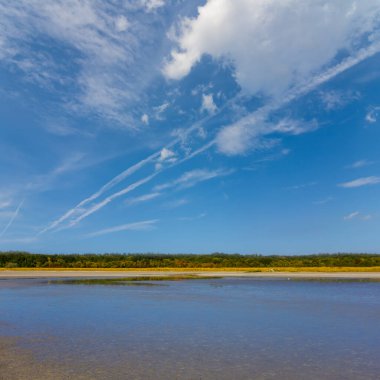 Bulutlu bir gökyüzünün altında, sahilde ormanlı küçük sakin bir göl.