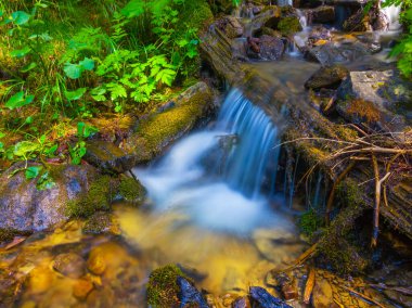 Küçük bir dağ deresi taşların üzerinden kanyon boyunca akıyor.