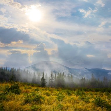 Parlak güneşli bir günde ormanlı yeşil dağ vadisi