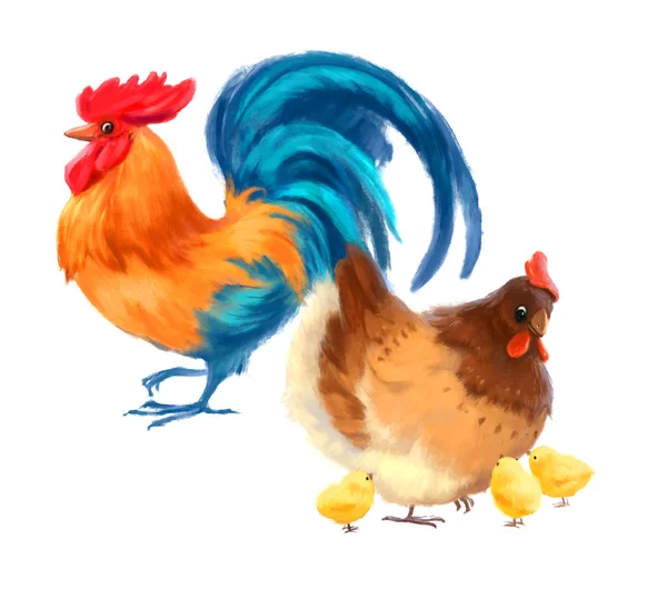 Drawn funny rooster, hen and chickens on a white background