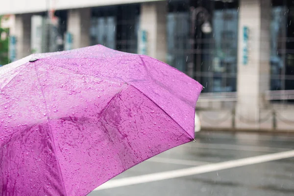 Mal Tiempo Día Lluvioso Paraguas Con Gotas Lluvia Fondo Ciudad Fotos De Stock Sin Royalties Gratis