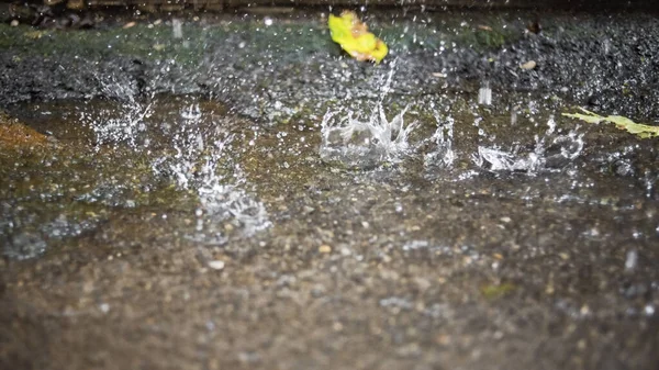 大雨时在大水坑中喷出大量的水 雨中的街景 秋天的雨天 — 图库照片