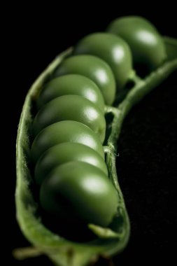 taze ve yeşil bezelye taneleri