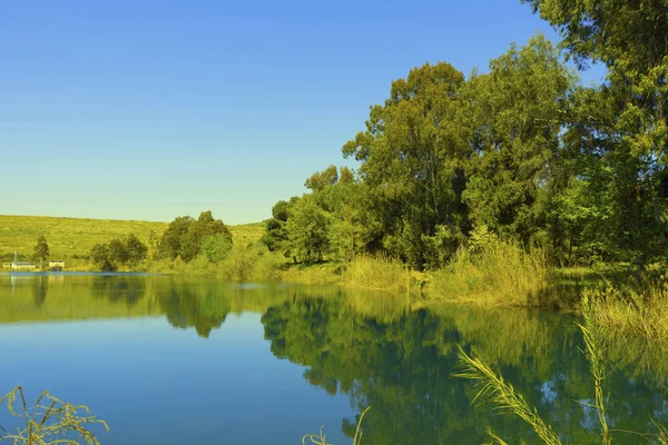 Голубое Озеро Зеленые Деревья — стоковое фото