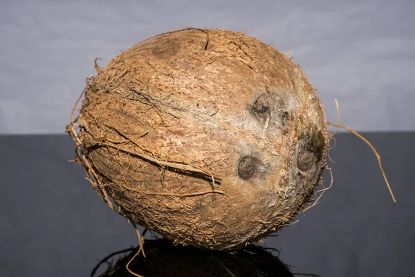 Heerlijke Tropische Vruchten Kokosnoot — Stockfoto