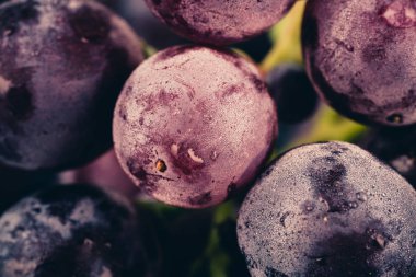 tatlı siyah üzüm ve su damlacıkları