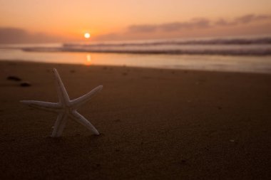 gündoğumu ve sahilde deniz yıldızı
