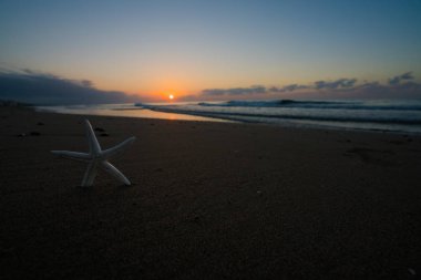 gündoğumu ve sahilde deniz yıldızı
