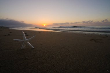 gündoğumu ve sahilde deniz yıldızı