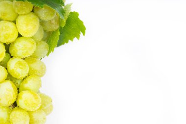 Beyaz arkaplanda yeşil üzümler