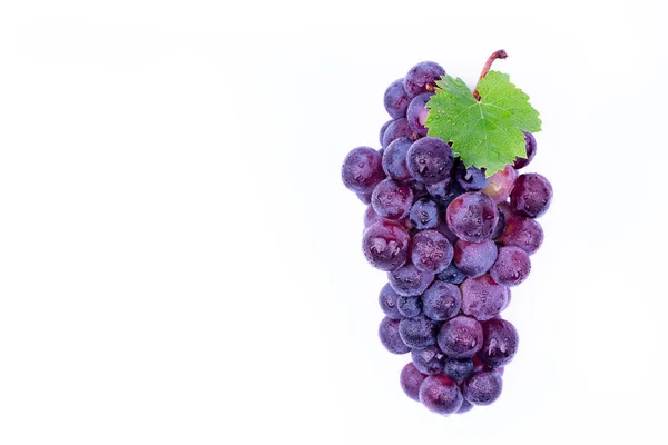 Uvas Moradas Con Gotas Agua Sobre Fondo Blanco — Foto de Stock