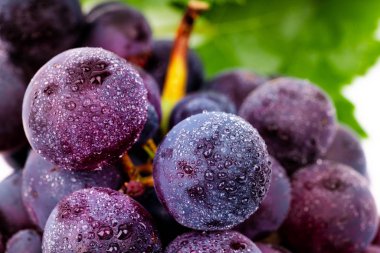 beyaz arka plan üzerinde su damlaları ile mor üzüm