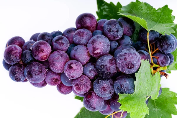 Purple Grapes Water Drops White Background — Stock Photo, Image