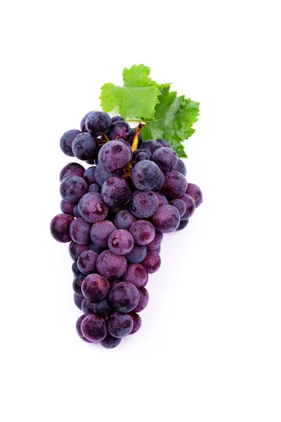 Paarse Druiven Met Water Druppels Witte Achtergrond — Stockfoto