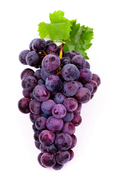 Purple Grapes Water Drops White Background — Stock Photo, Image