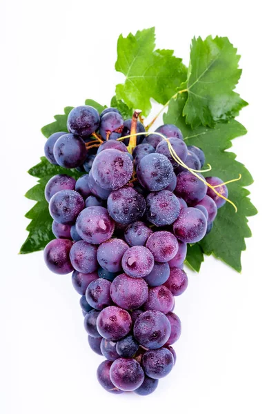 Purple Grapes Water Drops White Background — Stock Photo, Image