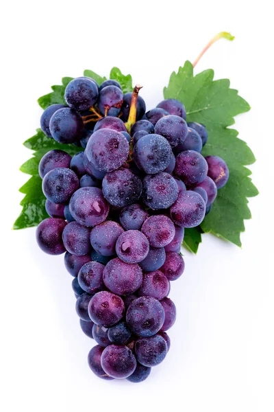 Purple Grapes Water Drops White Background — Stock Photo, Image