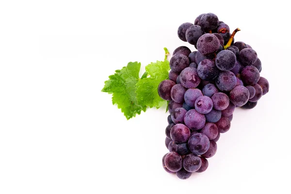 Purple Grapes Water Drops White Background — Stock Photo, Image