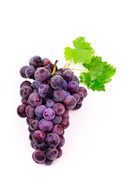 Purple Grapes Water Drops White Background — Stock Photo, Image