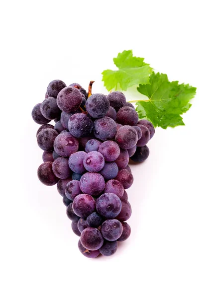 Purple Grapes Water Drops White Background — Stock Photo, Image