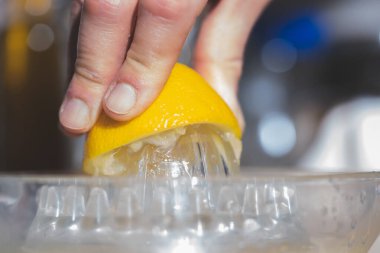 Bir kadının elini sıkan lemo