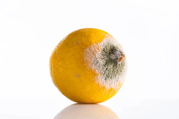 Citron Pourri Sur Fond Blanc — Photo