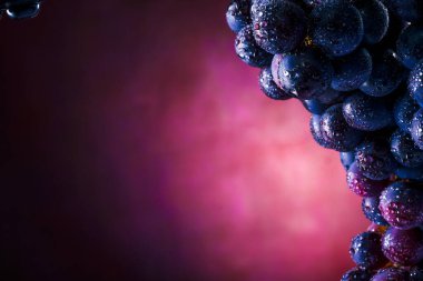 şarap üzümleri eski moda arka planda