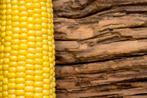 Kukorica Elszigetelt Háttér — Stock Fotó