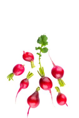 Beyaz arkaplanda taze kırmızı turp
