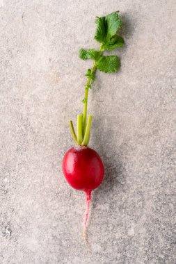 Klasik taş masa zemininde taze kırmızı turp.
