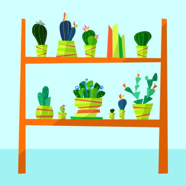 Parlak bahçe tencere yeşil dikenli kaktüsler ahşap bir zemin raf üzerinde durmak