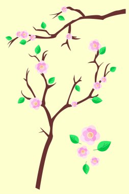 Bahar çiçek açan kiraz veya elma dal pembe çiçekler ve yeşil yaprakları açık sarı bir arka plan üzerinde izole