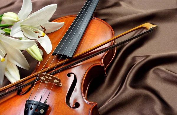 Violin Lily Silk Background Close — Stock Photo, Image