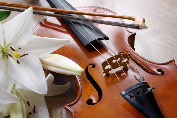 Violin Lily Wooden Background Close — Stock Photo, Image