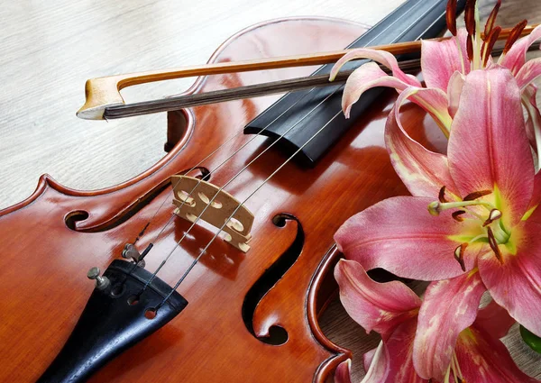 Violin Lily Wooden Background — Stock Photo, Image
