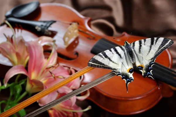Hegedű Pillangó Egy Selyem Háttér Hegedű Liliom — Stock Fotó
