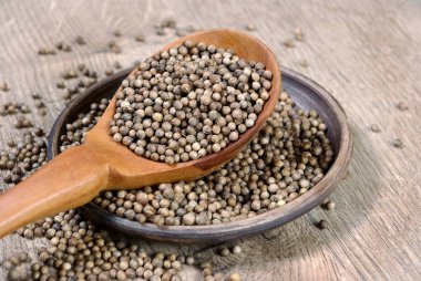 bir tahta kaşık içinde kişniş. yakın çekim.