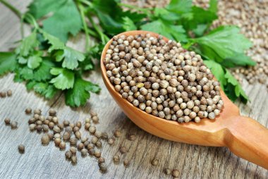 bir tahta kaşık içinde kişniş. yakın çekim.