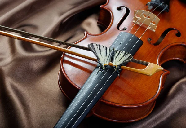 Musical Concept Violin Butterfly Butterfly Bow — Stock Photo, Image