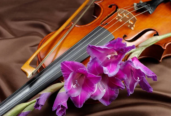 Gladiolus Violin Violin Flowers Silk Background — Stock Photo, Image
