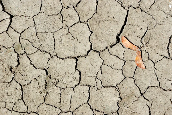 Getrockneter Und Rissiger Boden Ansicht Von Oben — Stockfoto