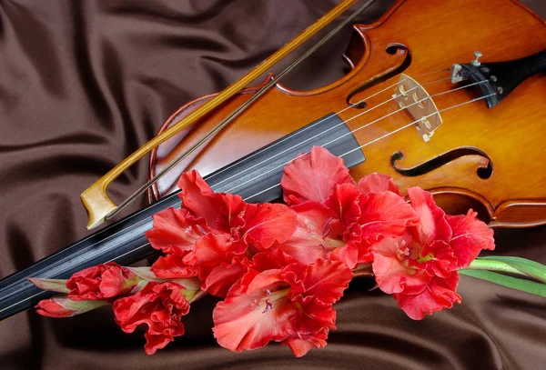 Gladiolus Hegedű Hegedű Virágok Egy Selyem Háttér — Stock Fotó