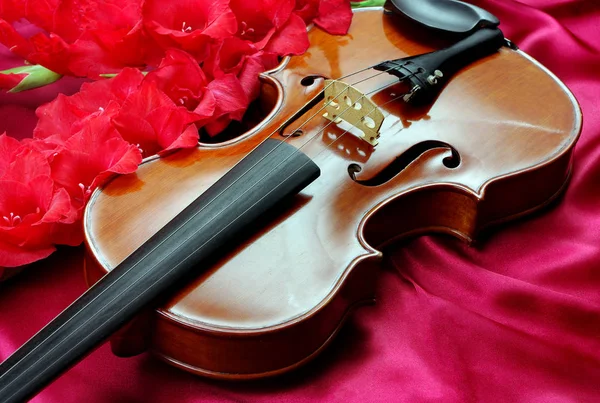 Gladiolo Violín Violín Flores Sobre Fondo Seda — Foto de Stock