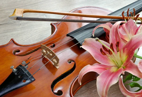 Violin Lily Wooden Background — Stock Photo, Image