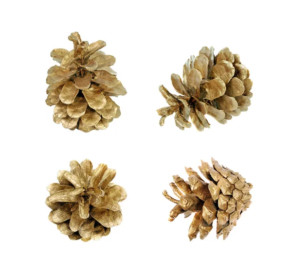 beyaz izole altın çam kozalağı. tasarım öğesi.